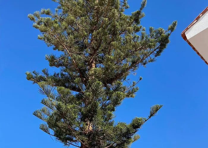 Florida 116 Lägenhet Caleta De Fuste