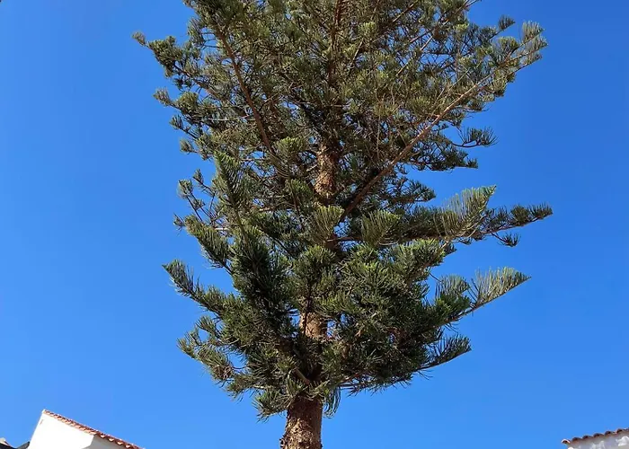 Florida 116 Lägenhet *