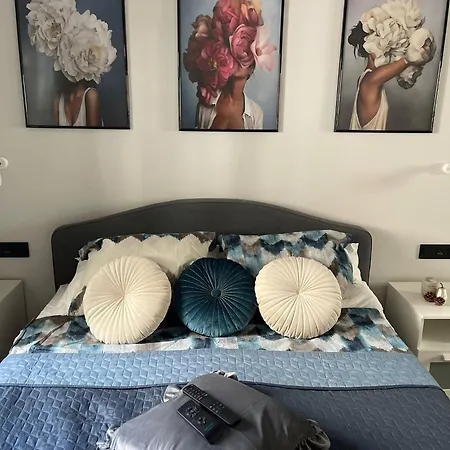 Florida 116 公寓 科斯塔卡莱塔