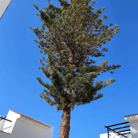 Florida 116 Apartamento *