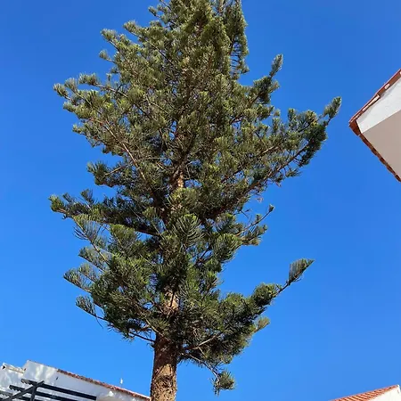 Florida 116 Apartmán Caleta De Fuste